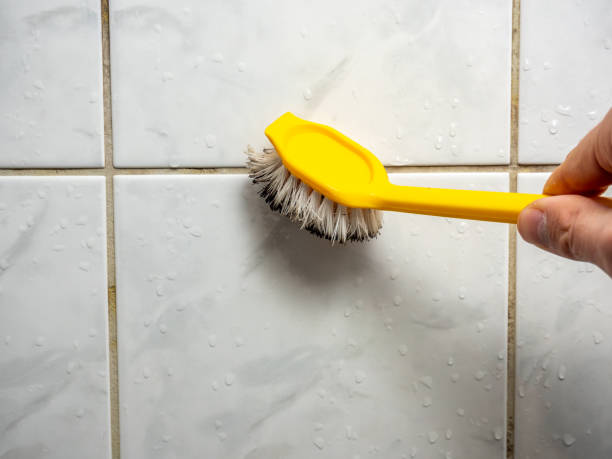 Best Emergency Mold Removal  in Hackberry, TX