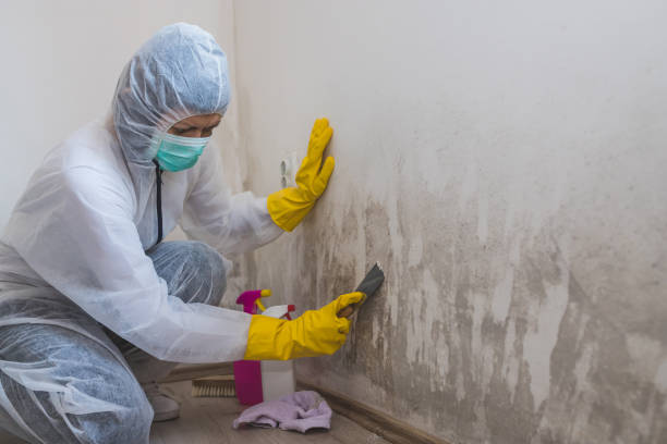 Best Mold Testing  in Hackberry, TX