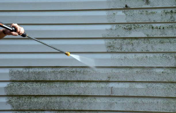 Mold Removal and Inspection in Hackberry, TX