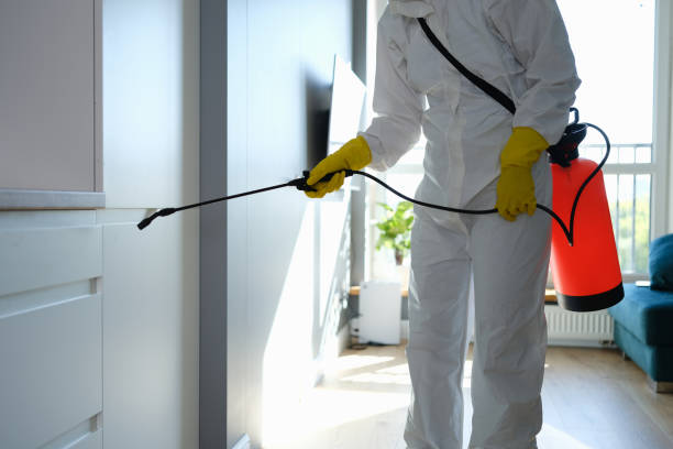 Best Home Mold Removal  in Hackberry, TX