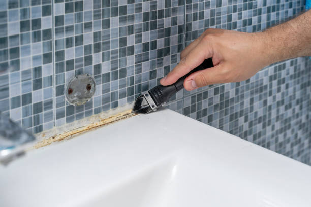 Best Office Mold Removal Services  in Hackberry, TX