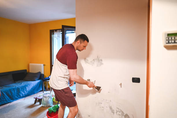Attic Mold Removal in Hackberry, TX